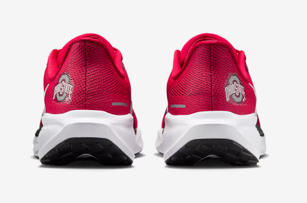 Nike Air Zoom Pegasus 41 Ohio State Buckeyes OSU