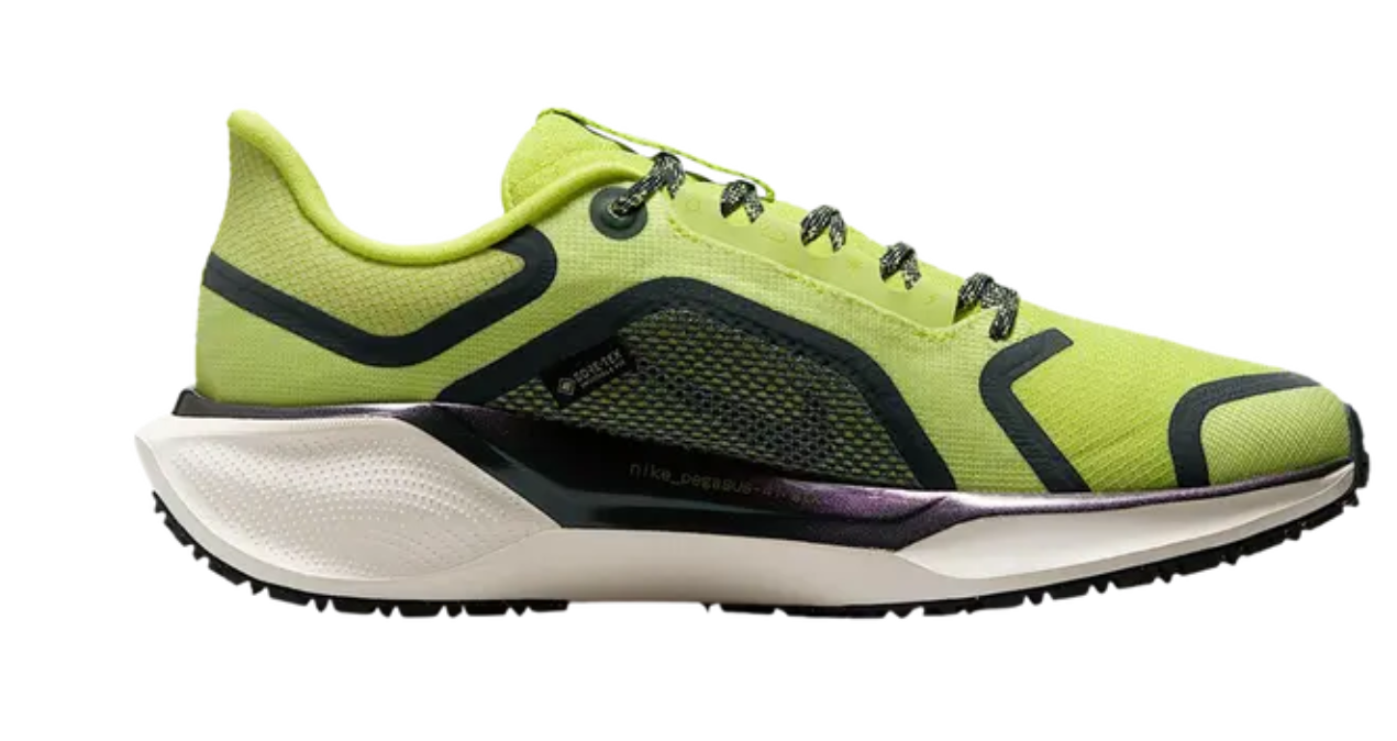 Nike Wmns Air Zoom Pegasus 41 GORE-TEX Women's