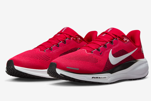 Nike Air Zoom Pegasus 41 Ohio State Buckeyes OSU