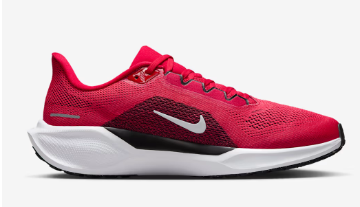 Nike Air Zoom Pegasus 41 Ohio State Buckeyes OSU